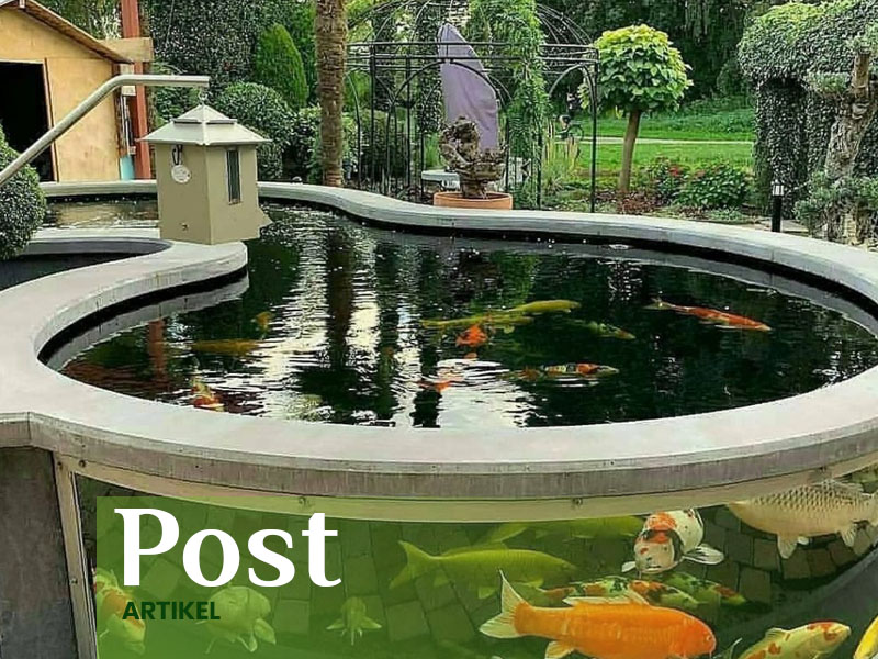 jasa pembuatan kolam koi