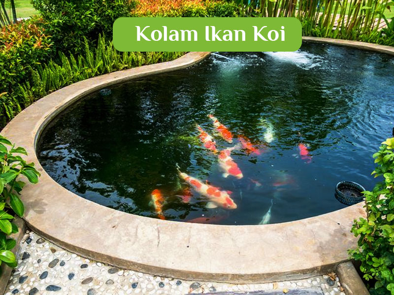 kolam ikan koi kolam ikan koi