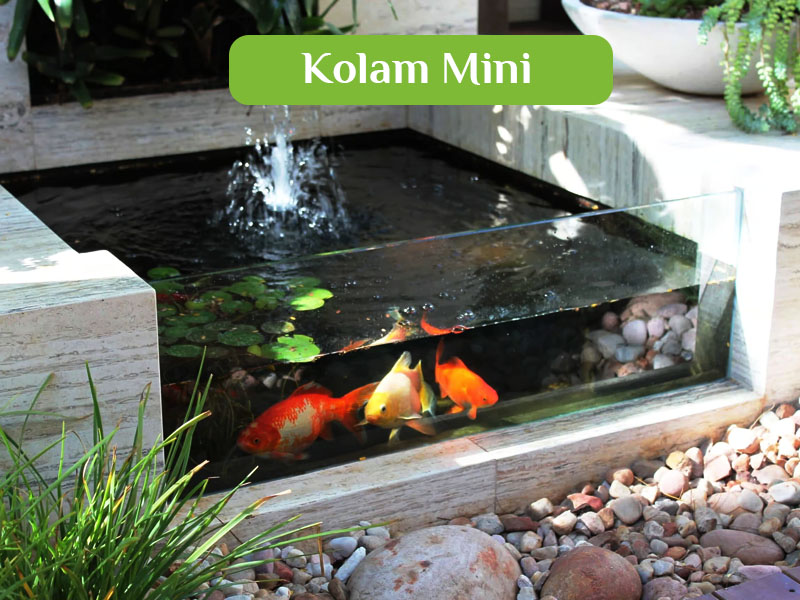 kolam mini kolam mini