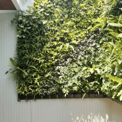 Foto vertikal garden 1