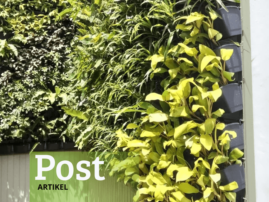 New Foto Artikel (1)